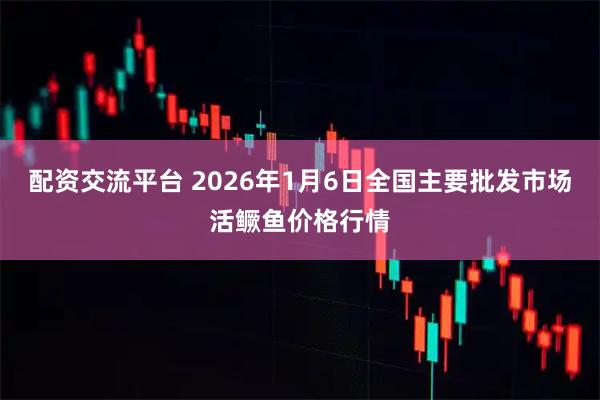 配资交流平台 2026年1月6日全国主要批发市场活鳜鱼价格行情